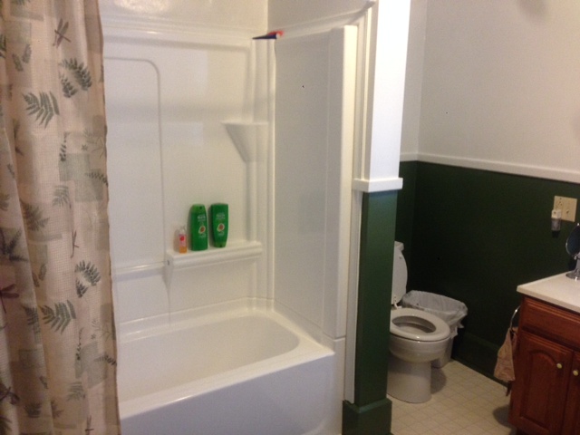 Bathroom Remodeling (After One)