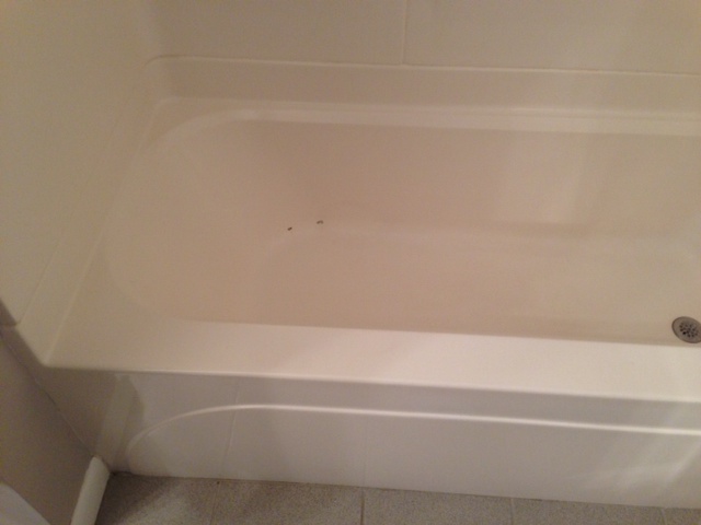 Bathtub Repair (Before)