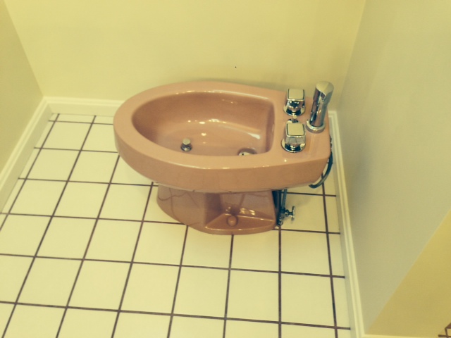 Toilet Refinishing (Before)